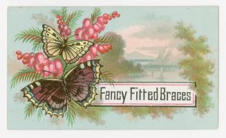 Colour trade card depicting a nature illustration and two butterflies, with text "Fancy Fitted …